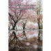 Collection of Short Stories and Poems II