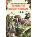 The Little Grey Men Go Down the Bright Stream