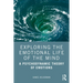 Exploring the Emotional Life of the Mind: A Psychodynamic Theory of Emotions