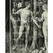 The Good Gardener?: Nature, Humanity and the Garden