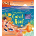 Look Inside a Coral Reef