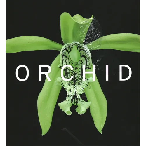 Orchid: Marie Selby Botanical Gardens