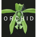 Orchid: Marie Selby Botanical Gardens
