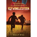 The Boring Days and Awesome Nights of Roy Winklesteen: Adventure 3