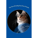 The Tao of Feeding Your Furry Friends: A holistic veterinarian's view on feeding your pets for vibrant health