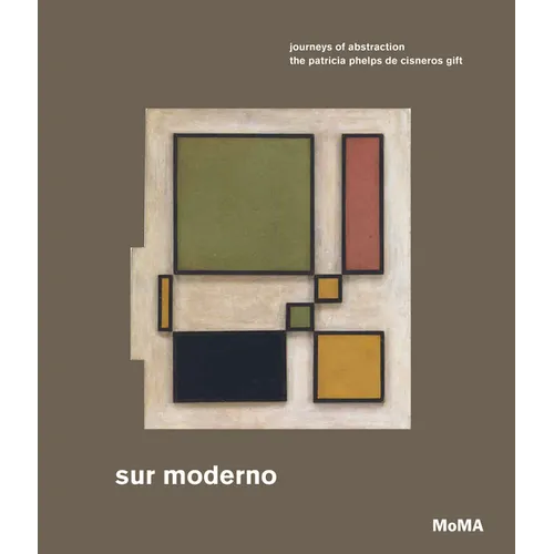Sur Moderno: Journeys of Abstraction: The Patricia Phelps de Cisneros Gift