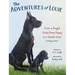The Adventures of Louie: From a Playful Great Dane Puppy to a Gentle Giant