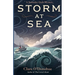 Storm at Sea: A Someday Quilts Mystery