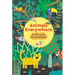 Animals Everywhere: A Lift, Look, and Find Book