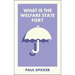 What Is the Welfare State For?