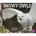 Snowy Owls