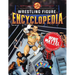 The Complete Collector's Guide to WWE Mattel: 2025 Edition