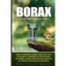 Borax: Borax Für Anfänger, Geheimes Basisches Pulver ALS Heilmittel, Wundermittel Gegen Arthrose, Osteoporose, Candida, Viren
