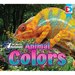 All about Animals - Animal Colors