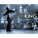 B.B. King: From Indianola to Icon: A Personal Odyssey with the "King of the Blues"
