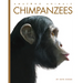 Chimpanzees