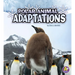Polar Animal Adaptations