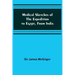 Medical Sketches of the Expedition to Egypt, from India
