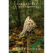 Parmenides in Minneapolis
