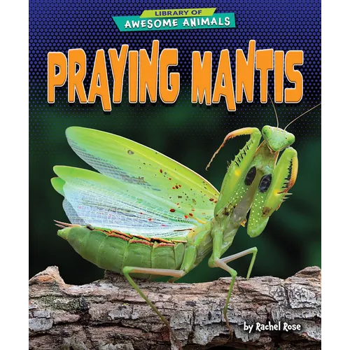 Praying Mantis