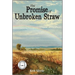 The Promise of Unbroken Straw