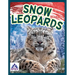 Snow Leopards