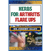 Herbs for Arthritis Flare Ups: Empower Your Healing Journey: Harnessing The Power Of Natural Remedies With Holistic Approaches