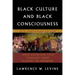 Black Culture and Black Consciousness: Afro-American Folk Thought from Slavery to Freedom