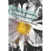 Fast Track To Life Coaching: A Certification & Training Workbook