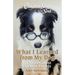 Chicken Soup for the Soul: What I Learned from My Dog: 101 Stories about Our Best Friends