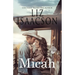 Micah: A Walker Brothers Novel