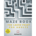 Maze Book: The Large Print For Adults