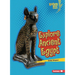Explore Ancient Egypt