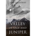 The Valley of Sage and Juniper