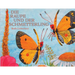 Die Raupe und der Schmetterling