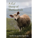 A Lost Sheep of Shenandoah: Charles Edwin Rinker of Virginia and Harry Bernard King of Iowa: Dna Reveals They Were the Same Man