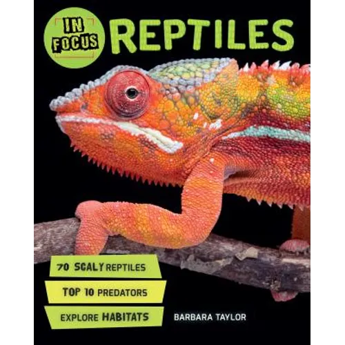 In Focus: Reptiles
