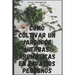 Cómo cultivar un jardín de hierbas aromáticas en espacios pequeños