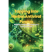 Tapping into Herbal Antiviral Powers: Blending Tradition and Science in Fighting Viruses
