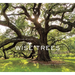 Wise Trees