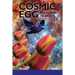 Cosmic Egg