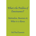 What is the Problem of Consciousness?: Materialism, Awareness & What-it-is-likeness
