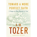 Toward a More Perfect Faith: 4 Stages in Your Pursuit of God