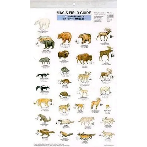 Mac's Field Guides: North American Land Mammals