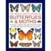 The World Encyclopedia of Butterflies & Moths: A Natural History and Identification Guide to Over 565 Varieties Around the Globe