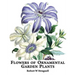 Flowers of Ornamental Garden Plants