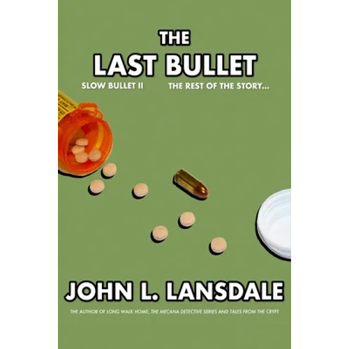 Slow Bullet II: The Last Bullet