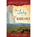 Our Lady of Kibeho: Mary Speaks to the World from the Heart of Africa