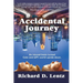 Accidental Journey