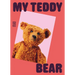 My Teddy Bear